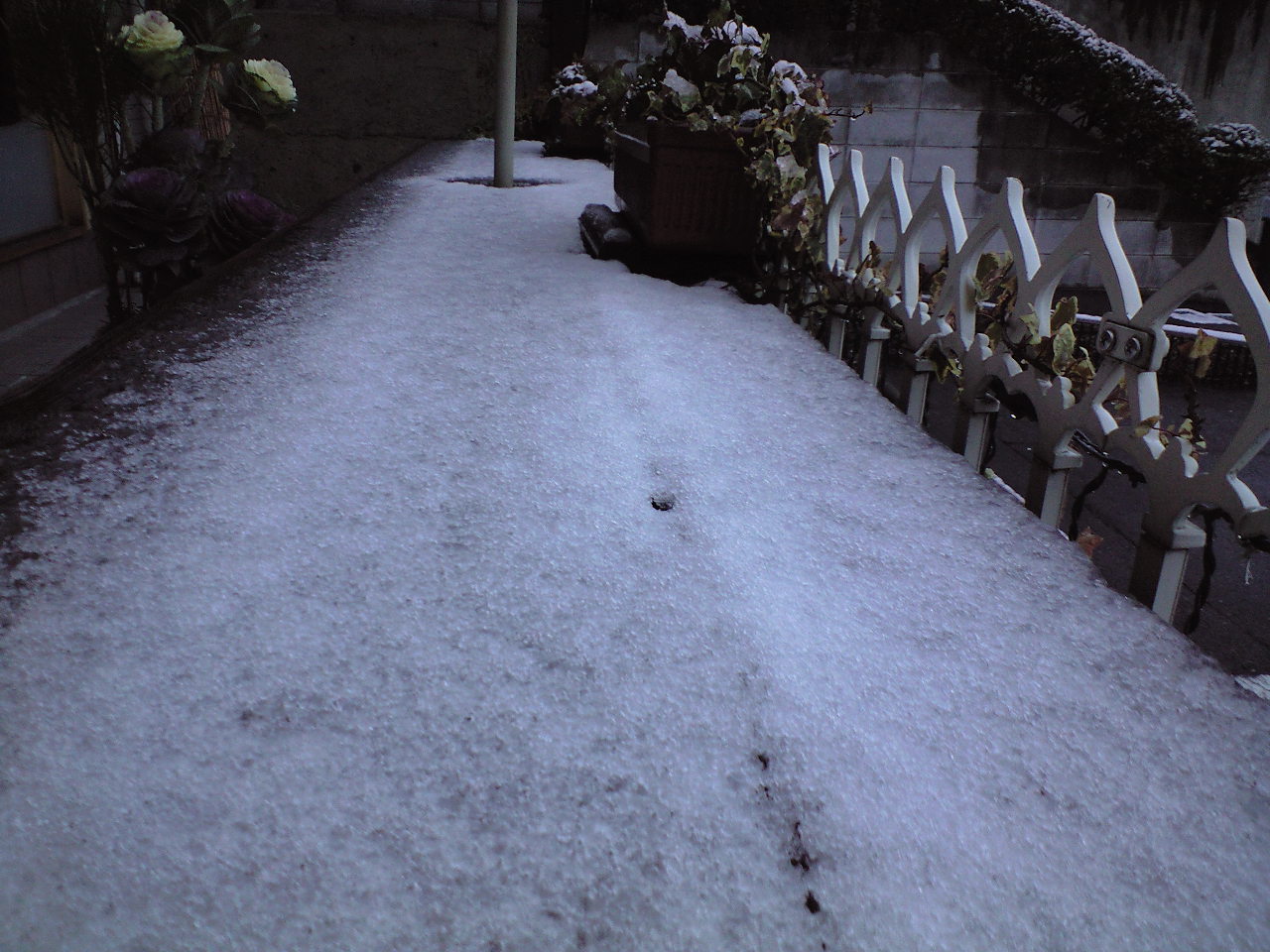 d0000607_1114677.jpg