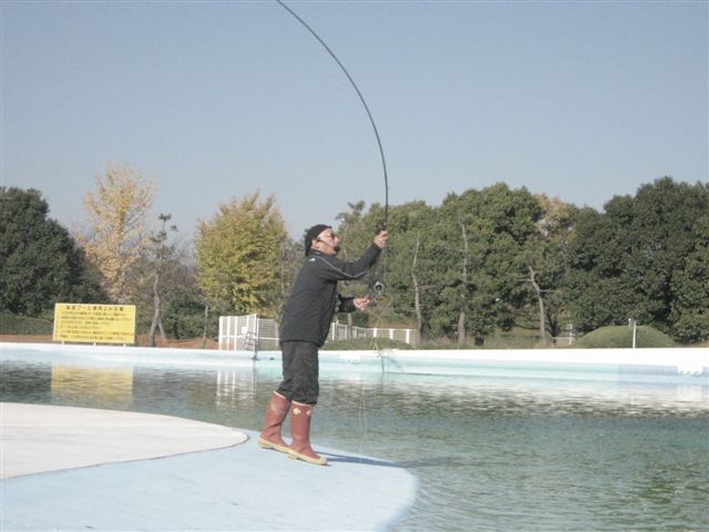 d0126708_838512.jpg