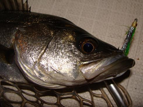e0123808_2137472.jpg