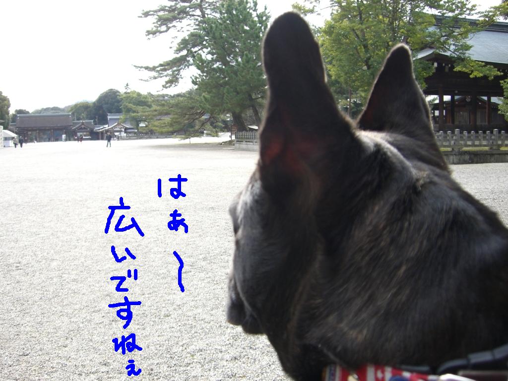 c0113109_22353265.jpg