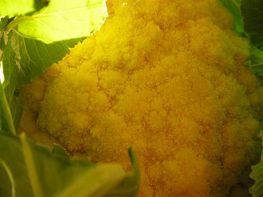 f0008510_20102025.jpg