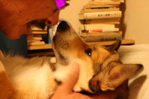 e0071225_21404425.jpg