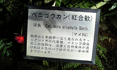 c0099229_12483615.jpg