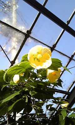 c0099229_1252533.jpg