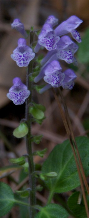 d0053930_1715461.jpg