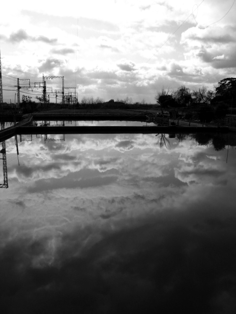 f0140130_1294865.jpg