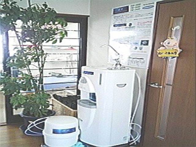 a0060339_4244461.jpg