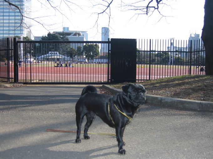 a0051443_1528868.jpg