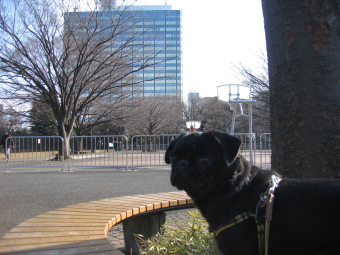 a0051443_15301335.jpg