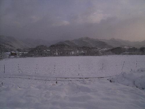 c0072843_14332433.jpg
