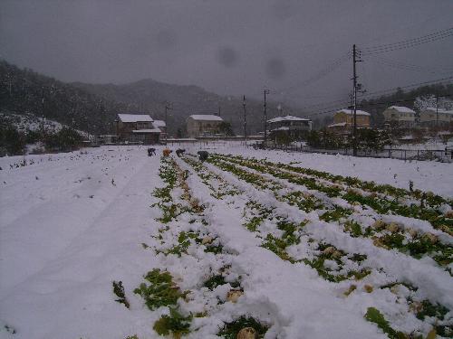 c0072843_14335771.jpg