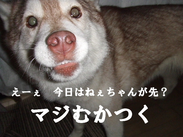 e0121548_20412550.jpg