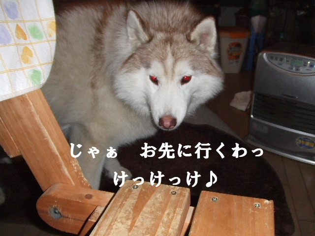 e0121548_20422272.jpg