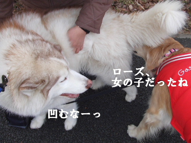 e0121548_2148167.jpg