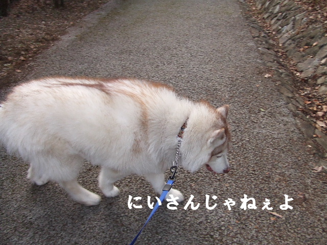 e0121548_215142.jpg