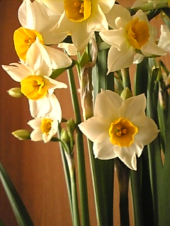 c0069552_1583780.jpg