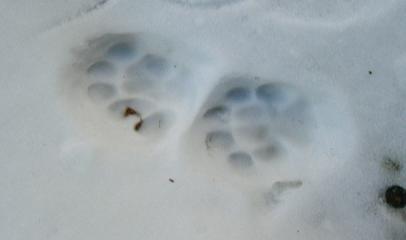 d0139352_031217.jpg