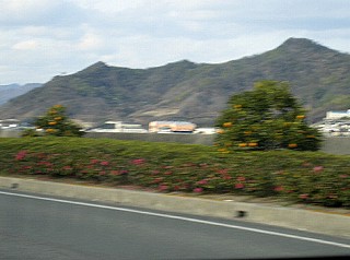 d0031853_17284925.jpg
