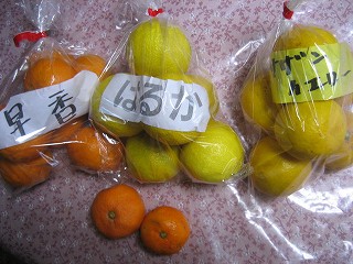 d0031853_1743611.jpg