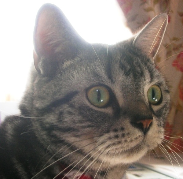 c0045655_2240950.jpg