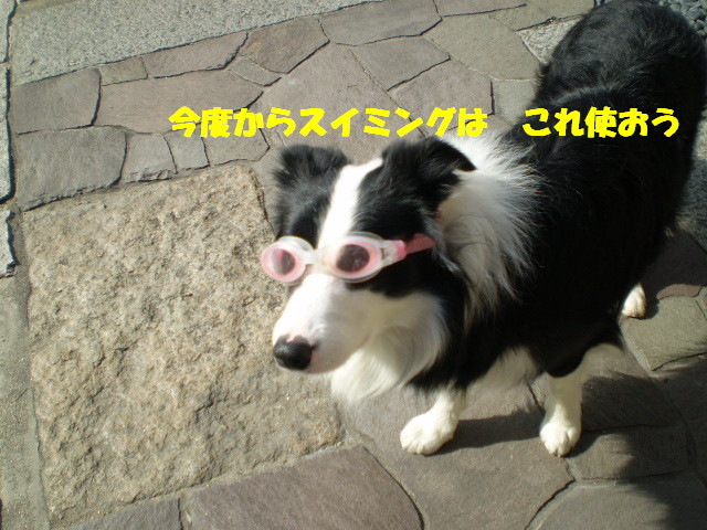 e0117976_1340669.jpg