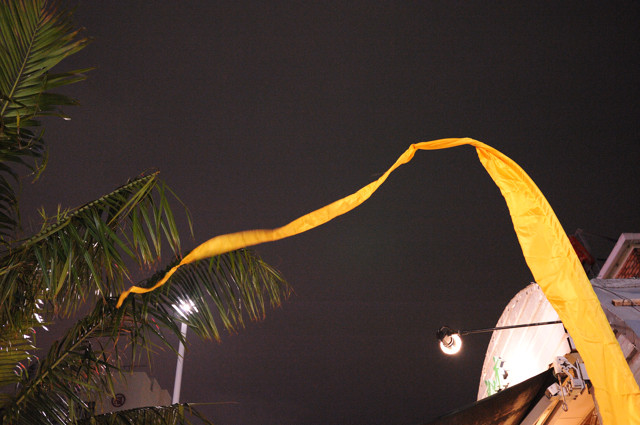 b0102780_744196.jpg