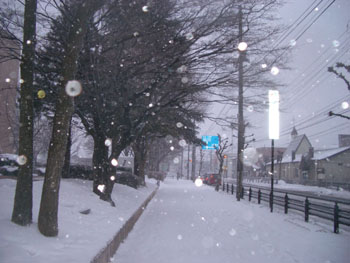 f0079980_15523542.jpg