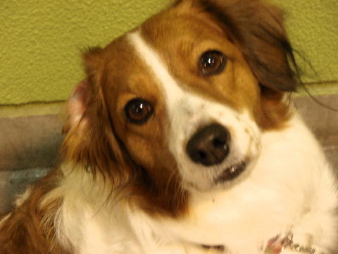 c0075585_0174992.jpg