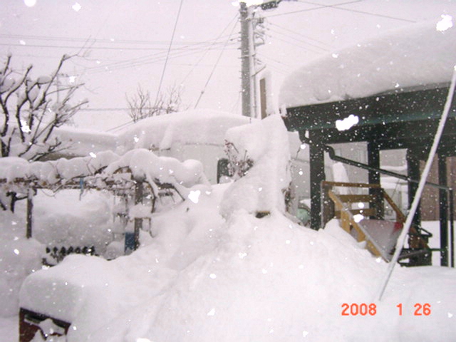 a0007388_13134236.jpg