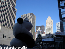 e0015195_033069.jpg
