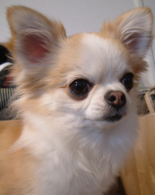 a0079803_21332695.jpg