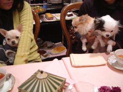 a0079803_21462569.jpg