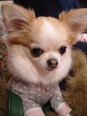 a0079803_21531560.jpg