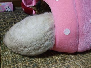 c0103205_20102622.jpg
