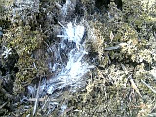 e0098908_21554553.jpg