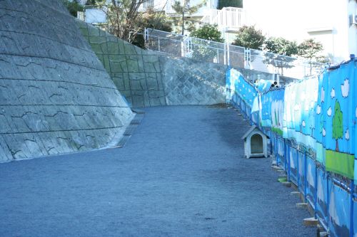 e0016009_20353782.jpg