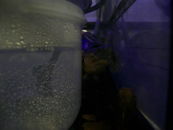 c0155511_17252498.jpg