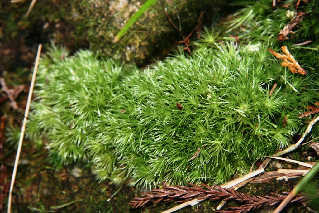 f0064415_0575572.jpg