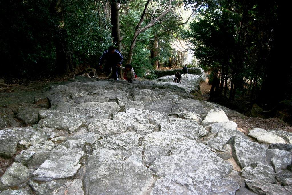 f0064415_10640.jpg