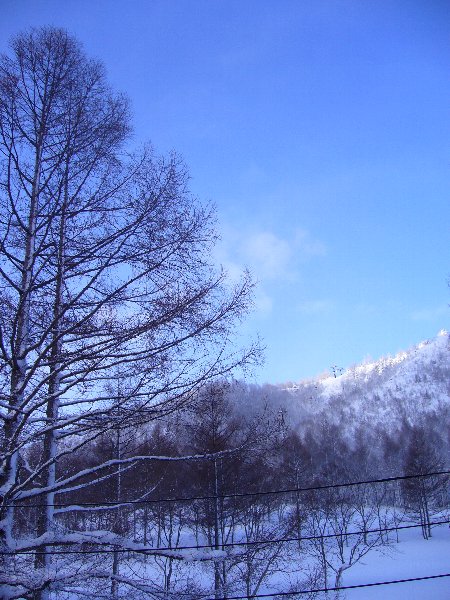 e0073717_80442.jpg