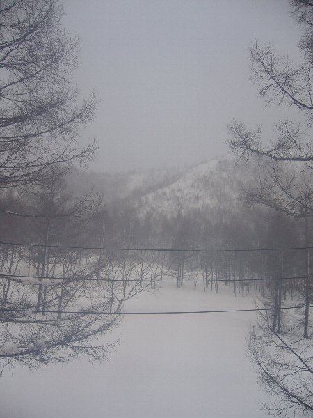 e0073717_844062.jpg