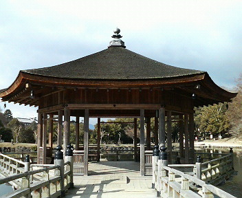 b0019820_1735274.jpg