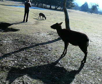 b0019820_1772167.jpg