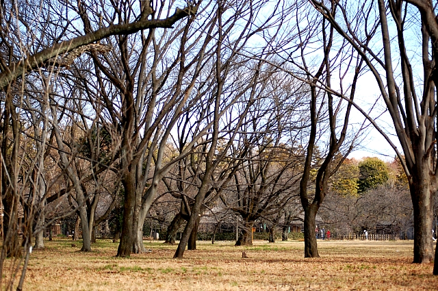 d0083623_9344050.jpg