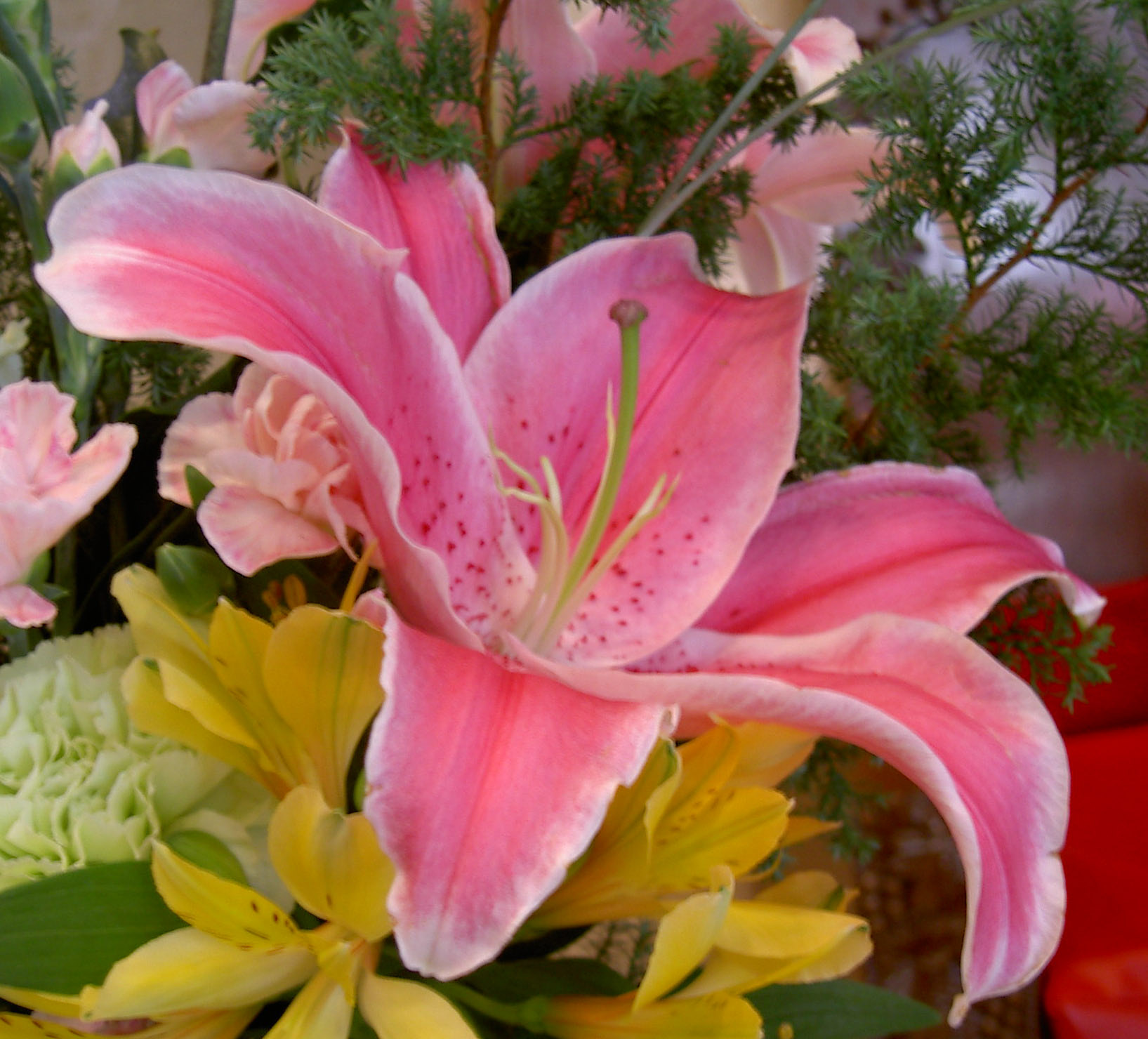 f0136828_2040336.jpg