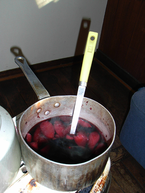 e0016732_2246294.jpg
