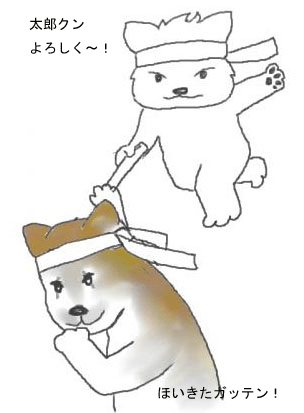 f0008935_13142254.gif