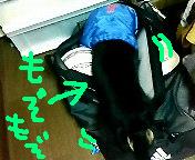 a0088238_17274210.jpg