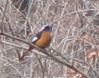 e0049740_21165264.jpg