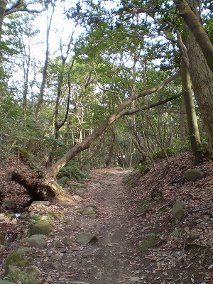 a0109742_2256258.jpg